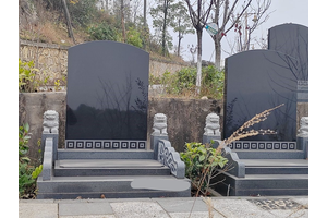 重庆南山龙园情况
