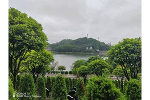 仙居山陵园 优美风景