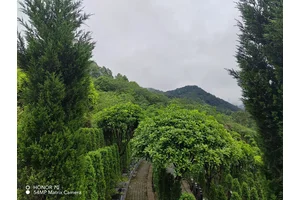 巴南区经营性公墓销售